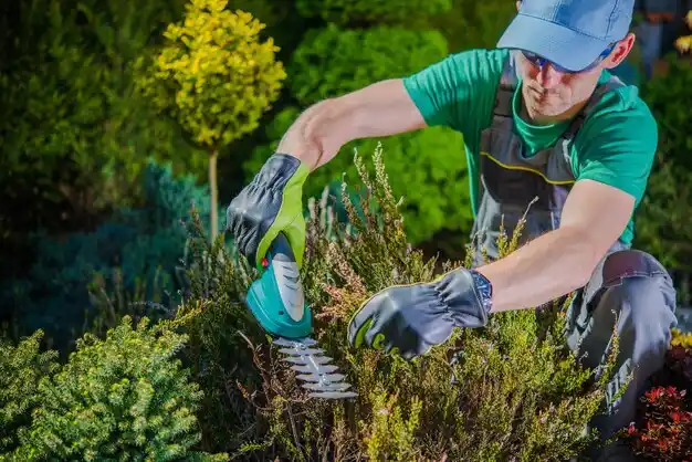 landscaping services Amagansett